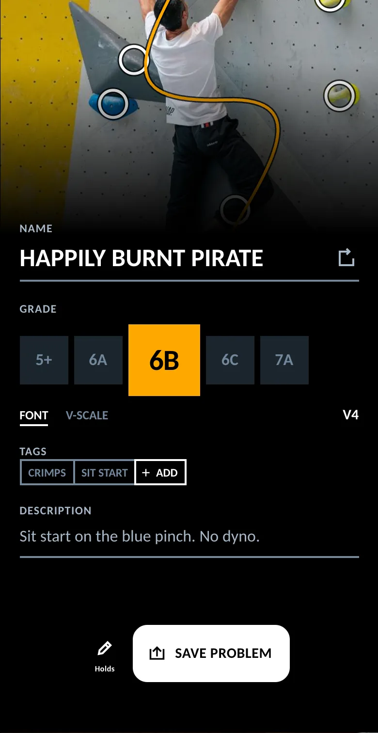 Name, grade and tags form for a new problem